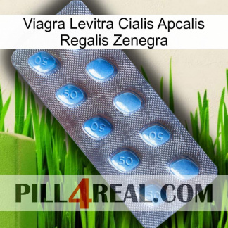 Viagra Levitra Cialis Apcalis Regalis Zenegra viagra3